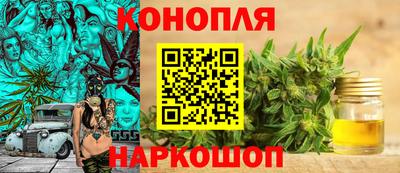 тгк Канаш