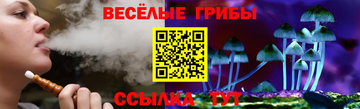 Чебоксары  Псилоцибиновые грибы MAGIC MUSHROOMS  Псилоцибиновые грибы прущие грибы  Вход с VPN 